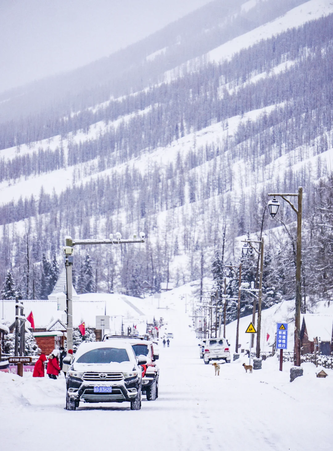 今年冲禾木喀纳斯，选对团直接赢麻！