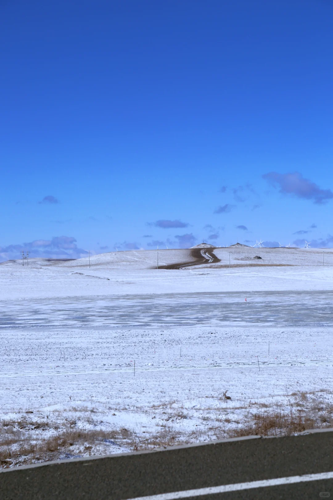 #内蒙古呼和浩特📍看雪玩雪实图攻略