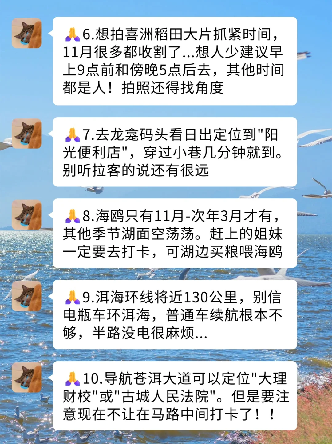 来大理玩要带对衣服啊😭😭(附游玩攻略)