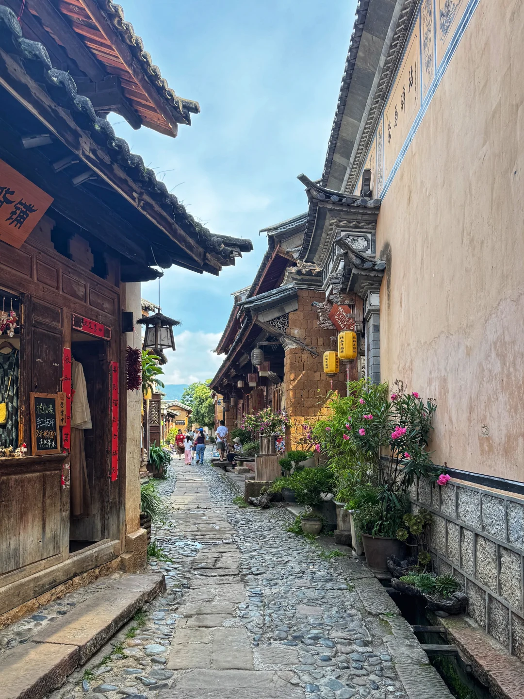 可能要去到大理才算爱的认真❤️