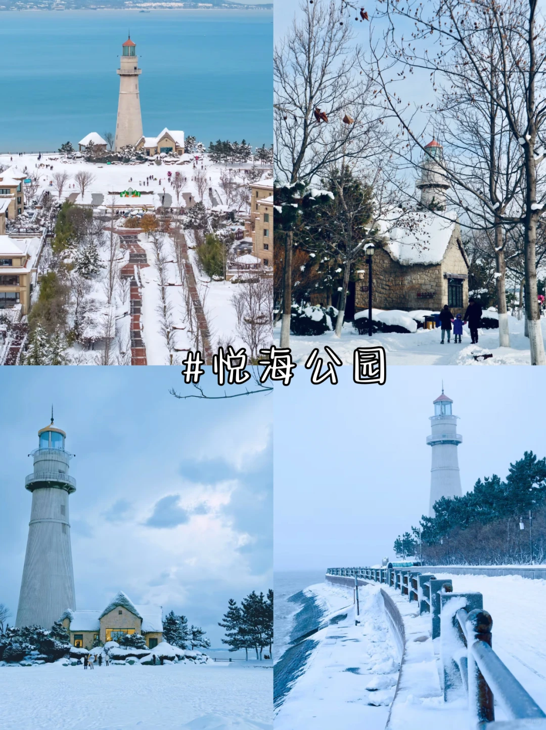 下了雪的威海 到底有多绝‼️