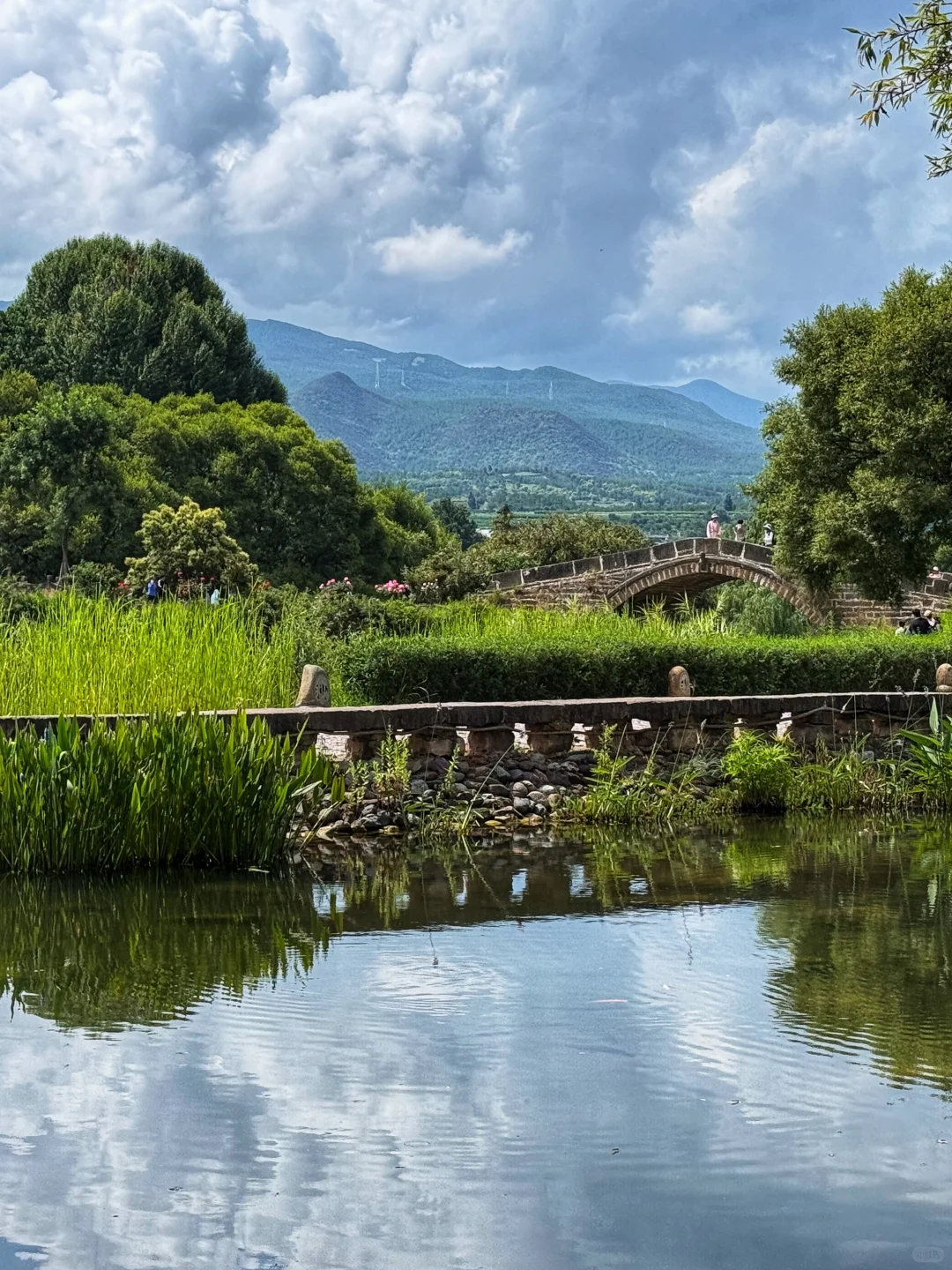 可能要去到大理才算爱的认真❤️