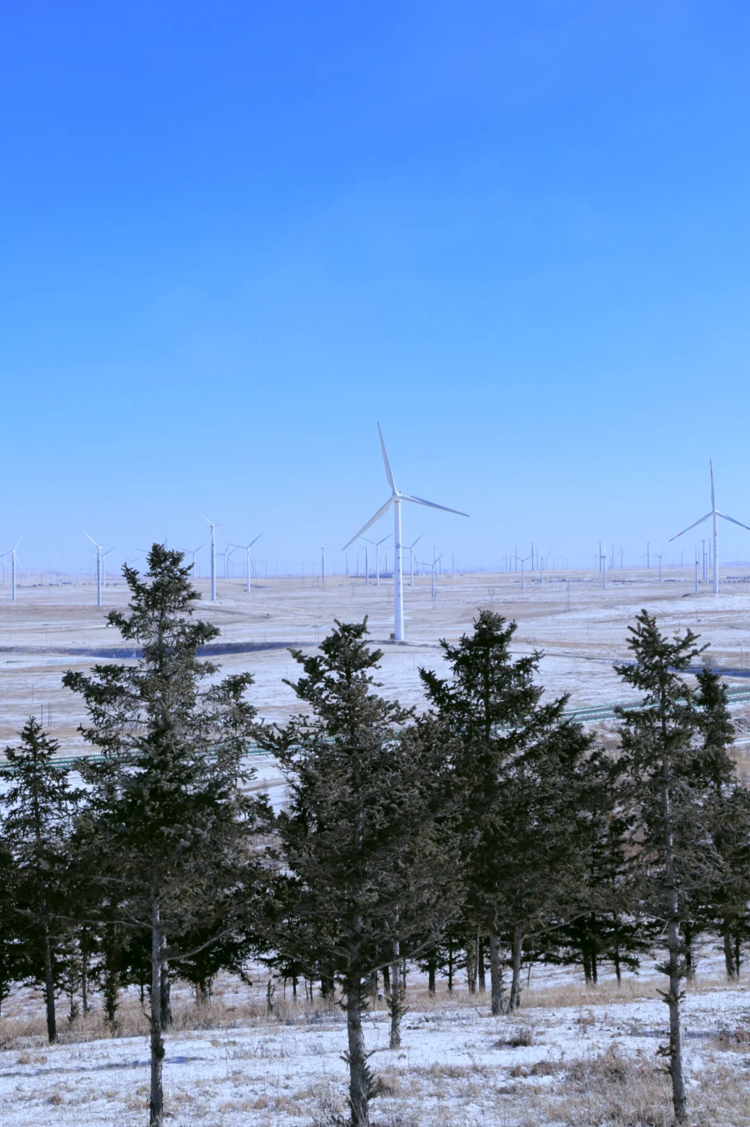#内蒙古呼和浩特📍看雪玩雪实图攻略