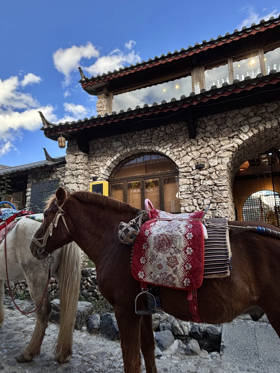 玉湖村避雷！掏心窝子攻略！