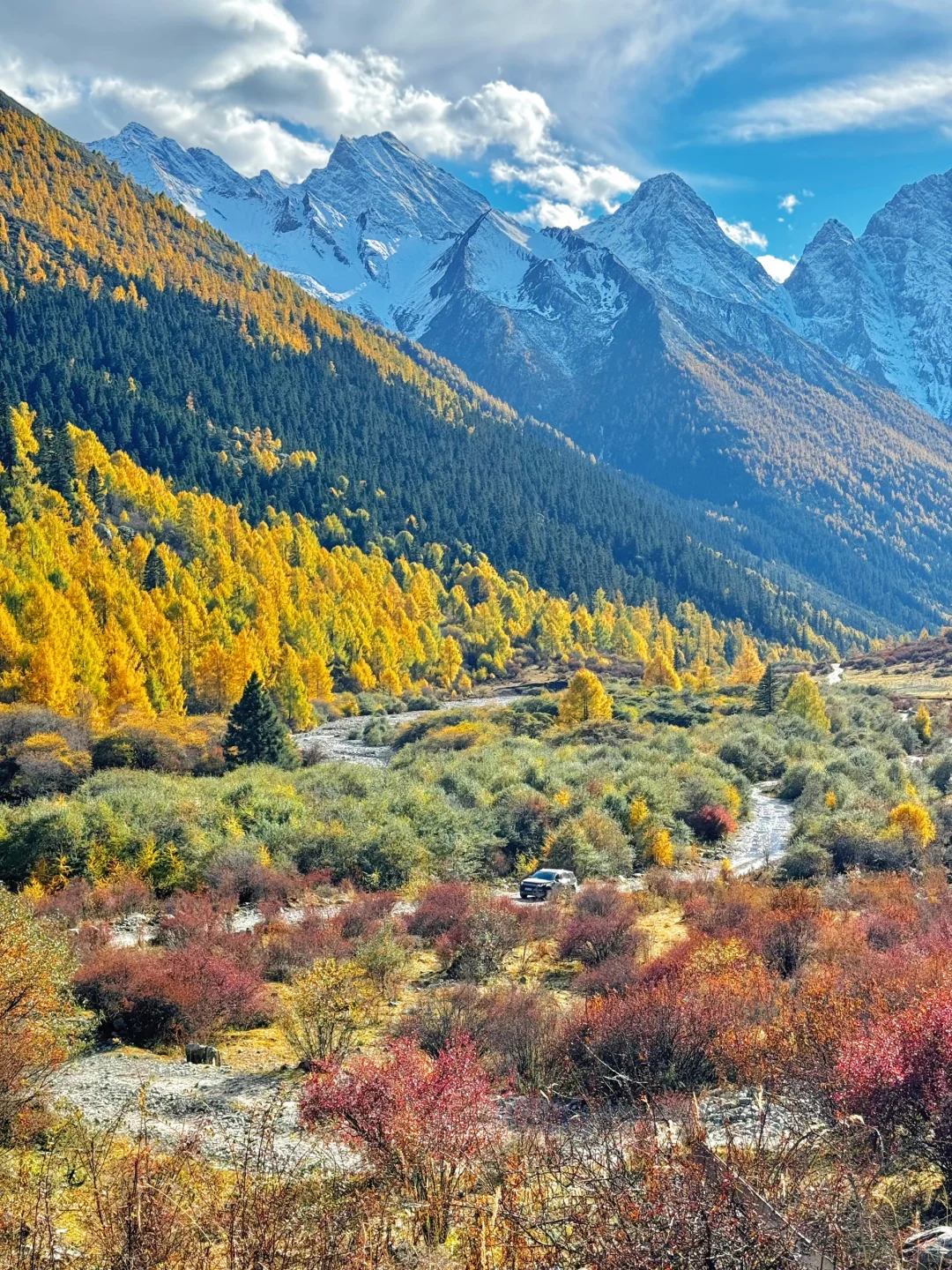 实拍live!此刻的川西简直就是人间理想🍂