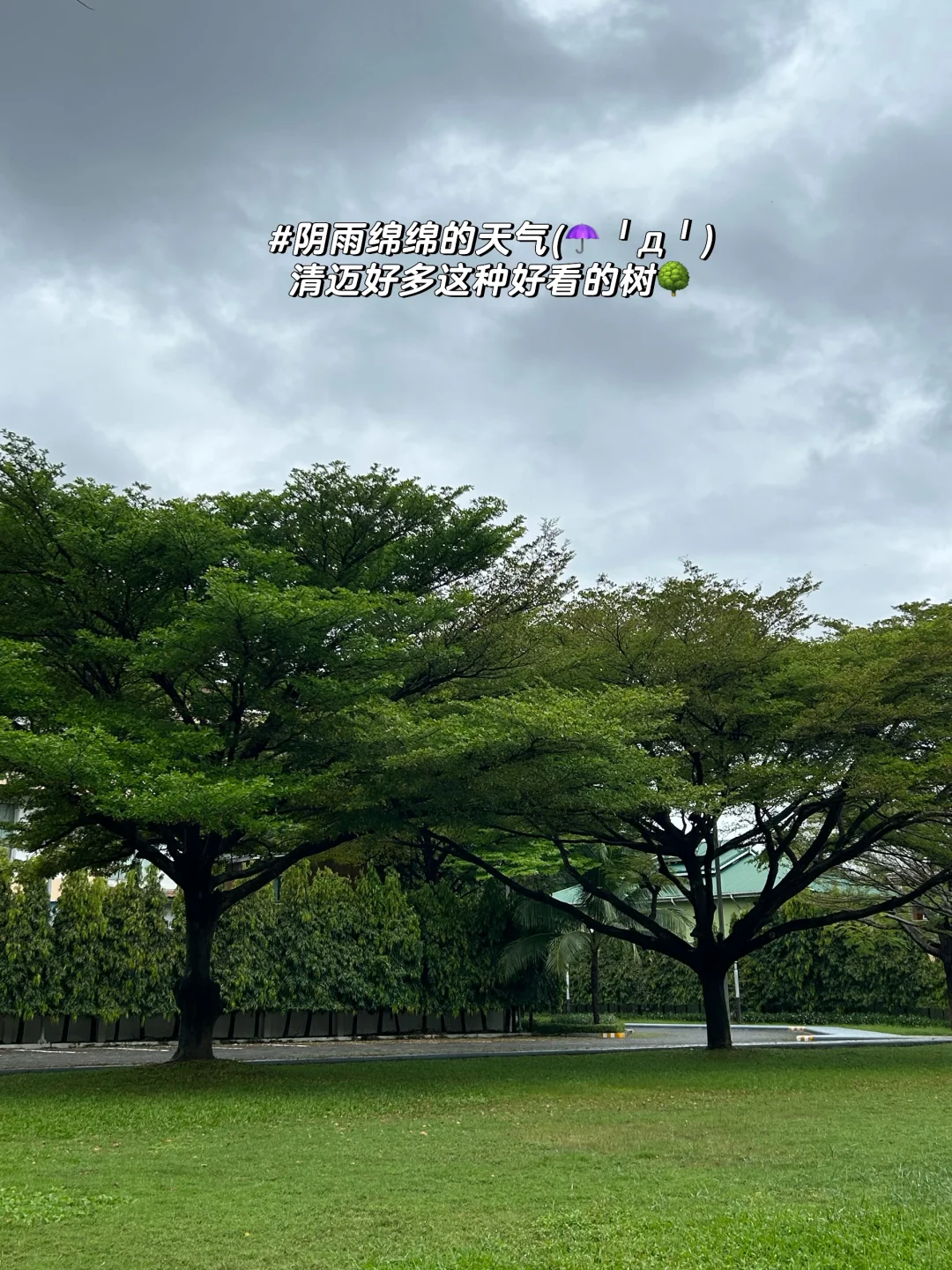 孕晚期也要出门旅游🤰