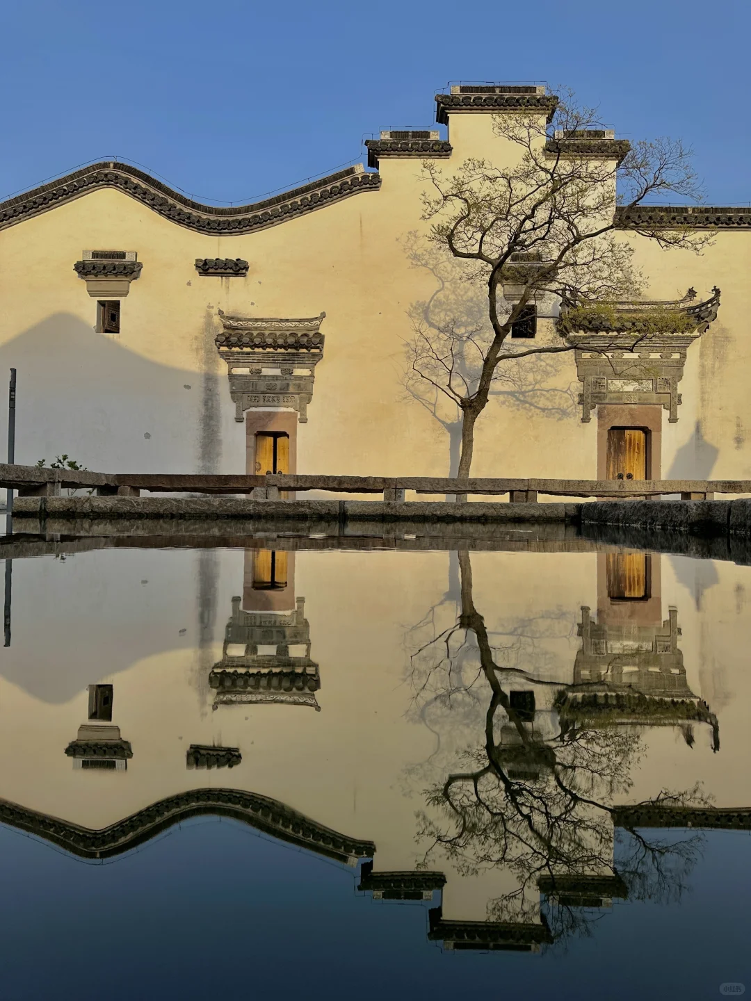 上海最好的地方都是免费的。。。。。🥹🥹