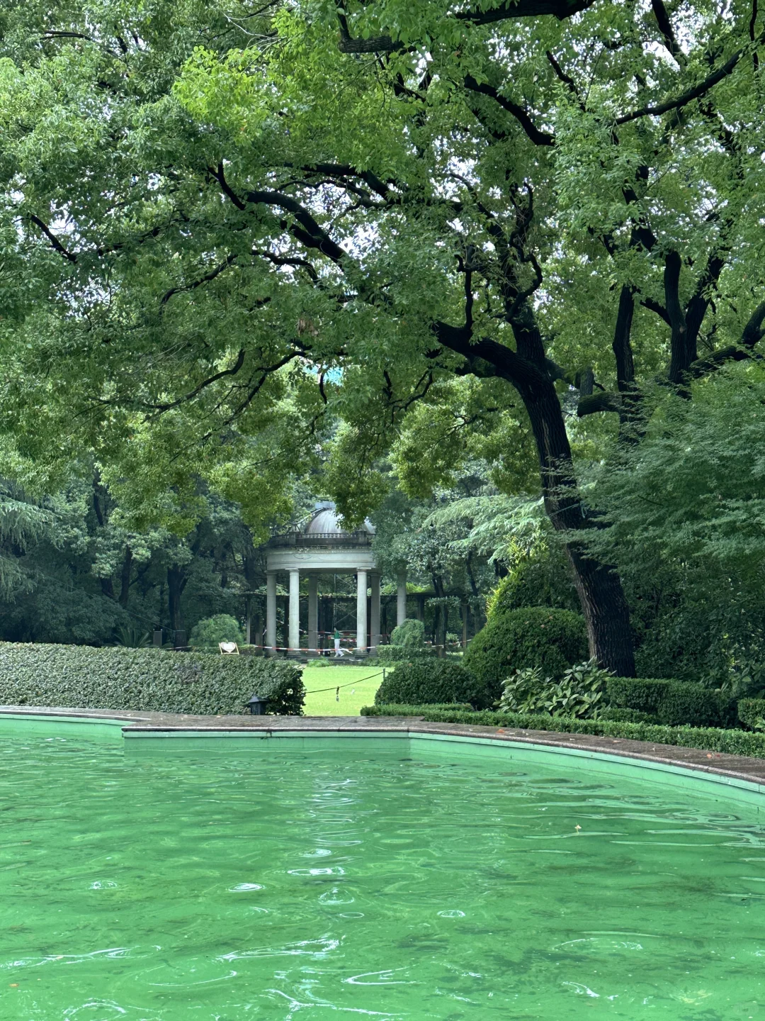 上海最好的地方都是免费的。。。。。🥹🥹