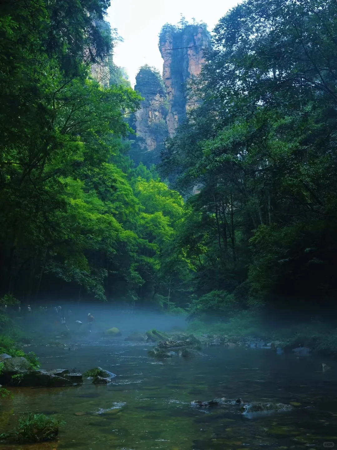 📍𝒛𝒉𝒂𝒏𝒈 𝒋𝒊𝒂 𝒋𝒊𝒆 ᨏ҉ᨏ ོ