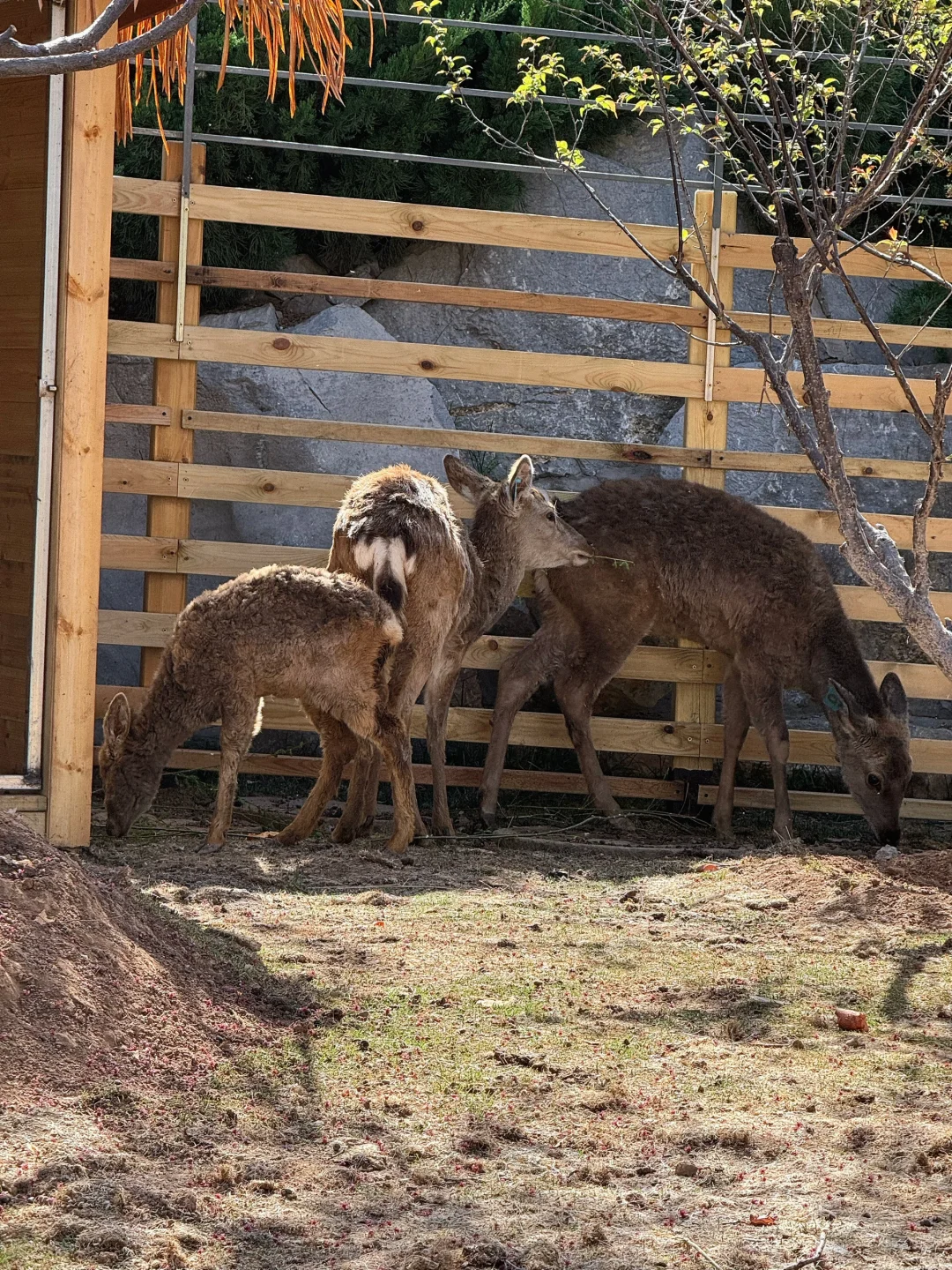 邯郸📍河北一日游，选这里准没错！！