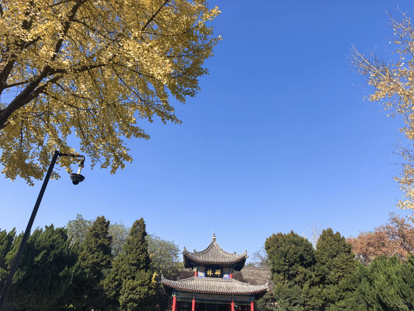 碑林博物馆半日游