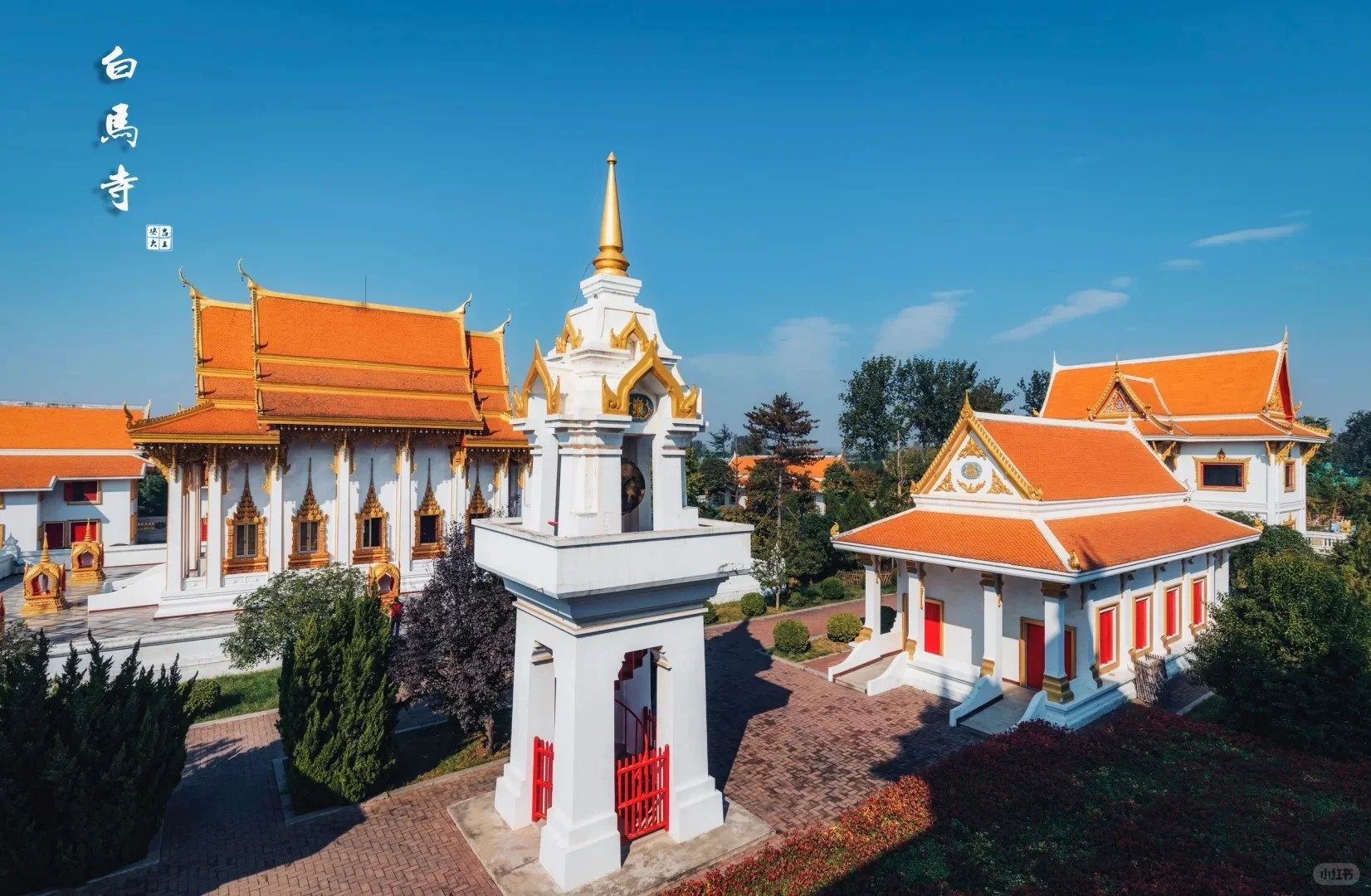 【洛阳旅游攻略 | 学生党自由行】