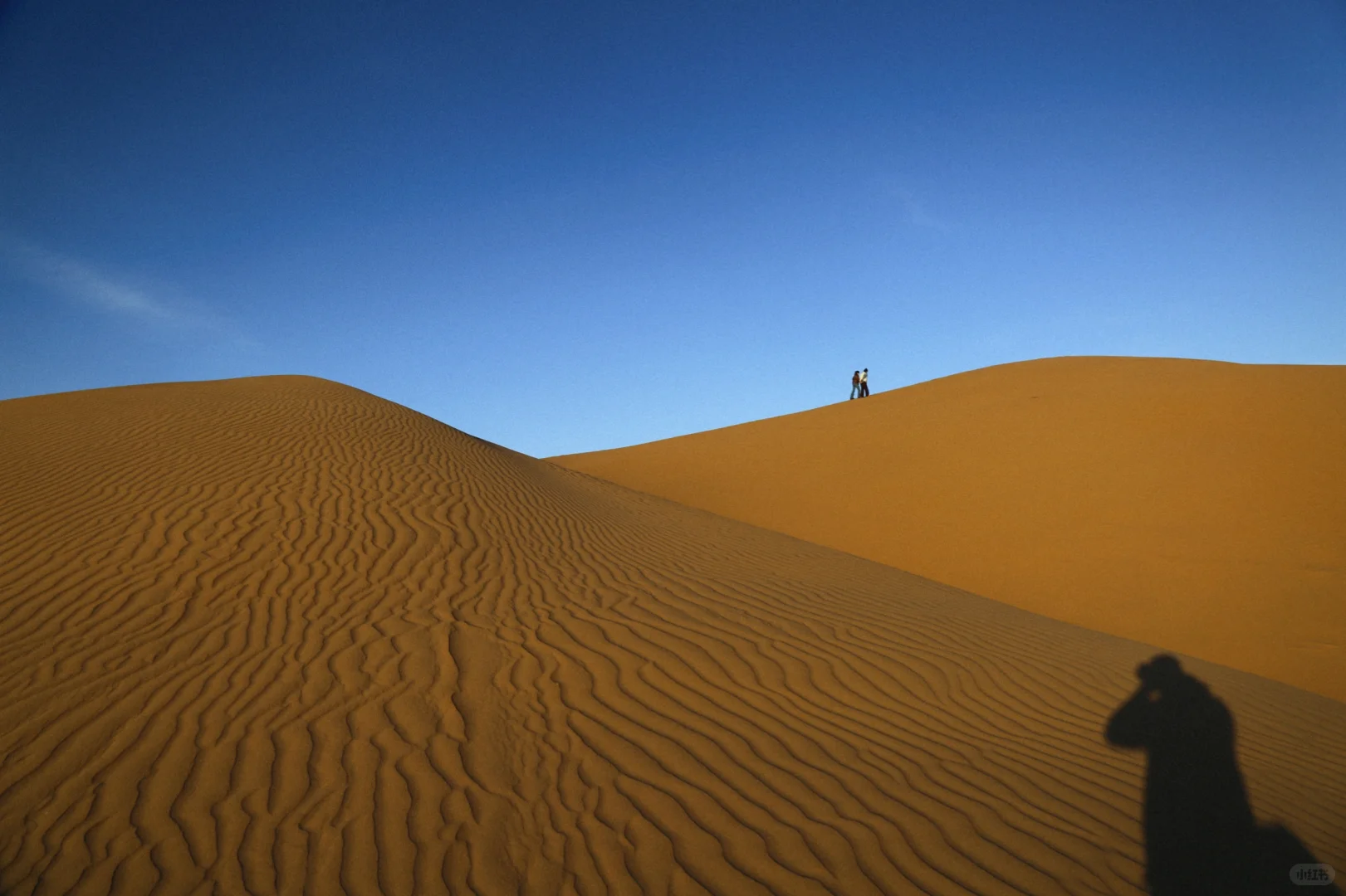 #内蒙古呼和浩特📍看雪玩雪实图攻略