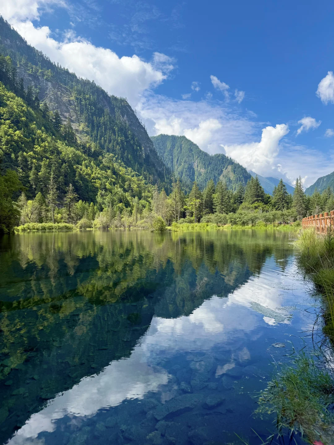 7月11日川西毕棚沟景区实拍美图