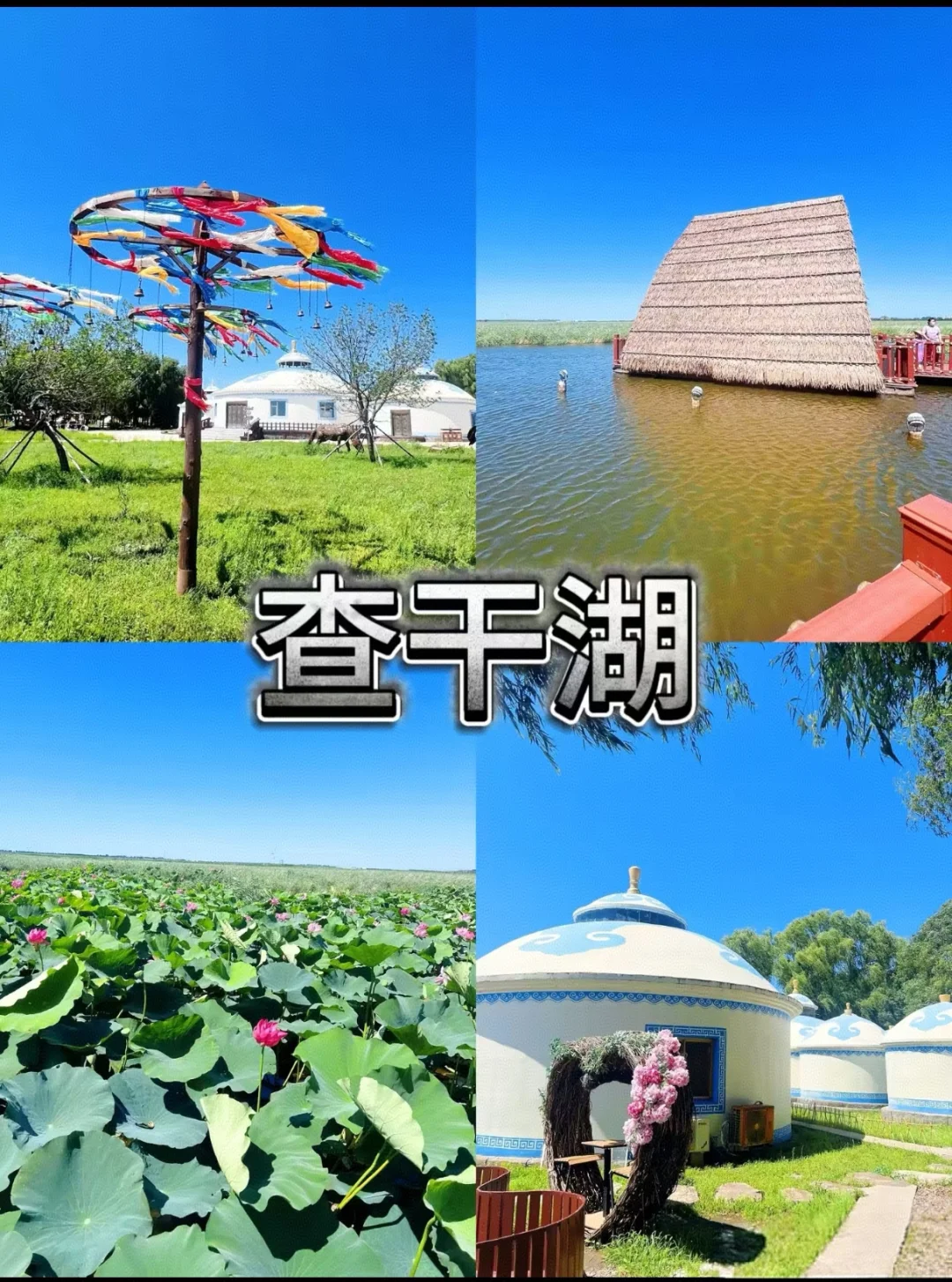 一个不小心就误入人间仙境的松原