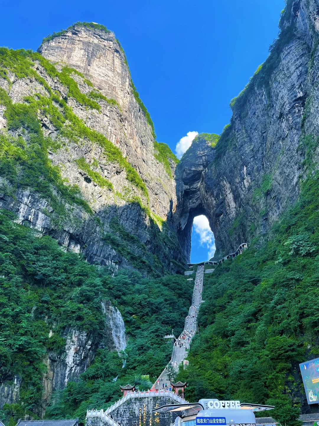 📍𝒛𝒉𝒂𝒏𝒈 𝒋𝒊𝒂 𝒋𝒊𝒆 ᨏ҉ᨏ ོ