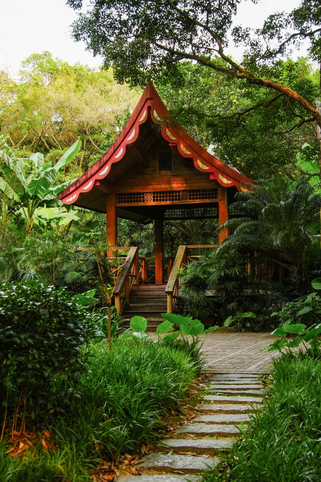 可以错过门票贵的景点，但别错过免费植物园