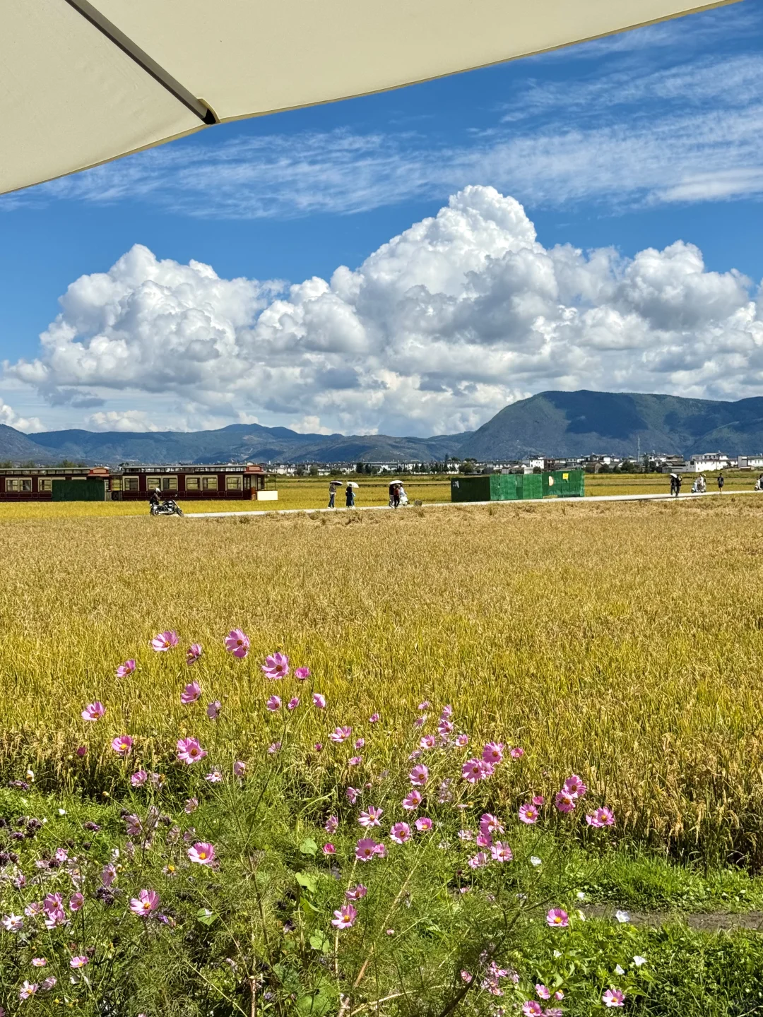 去大理,一定不要错过这个地方 !!!!!!