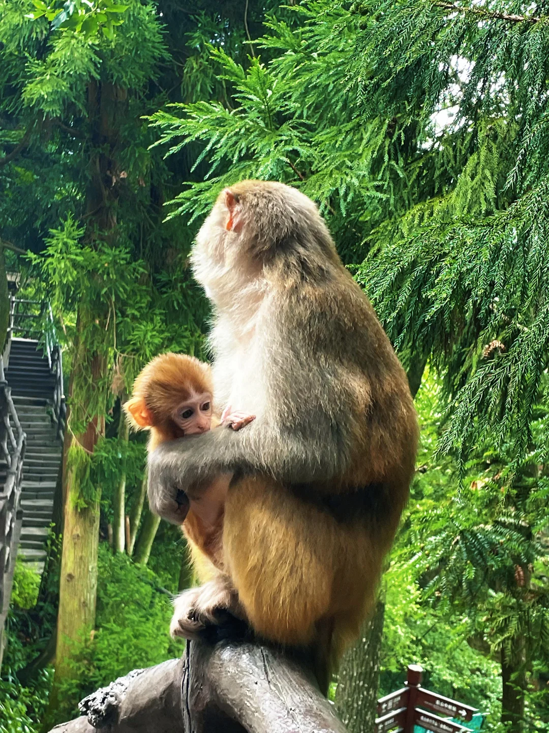 📍𝒛𝒉𝒂𝒏𝒈 𝒋𝒊𝒂 𝒋𝒊𝒆 ᨏ҉ᨏ ོ