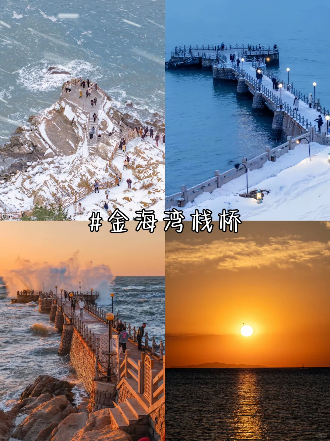 下了雪的威海 到底有多绝‼️