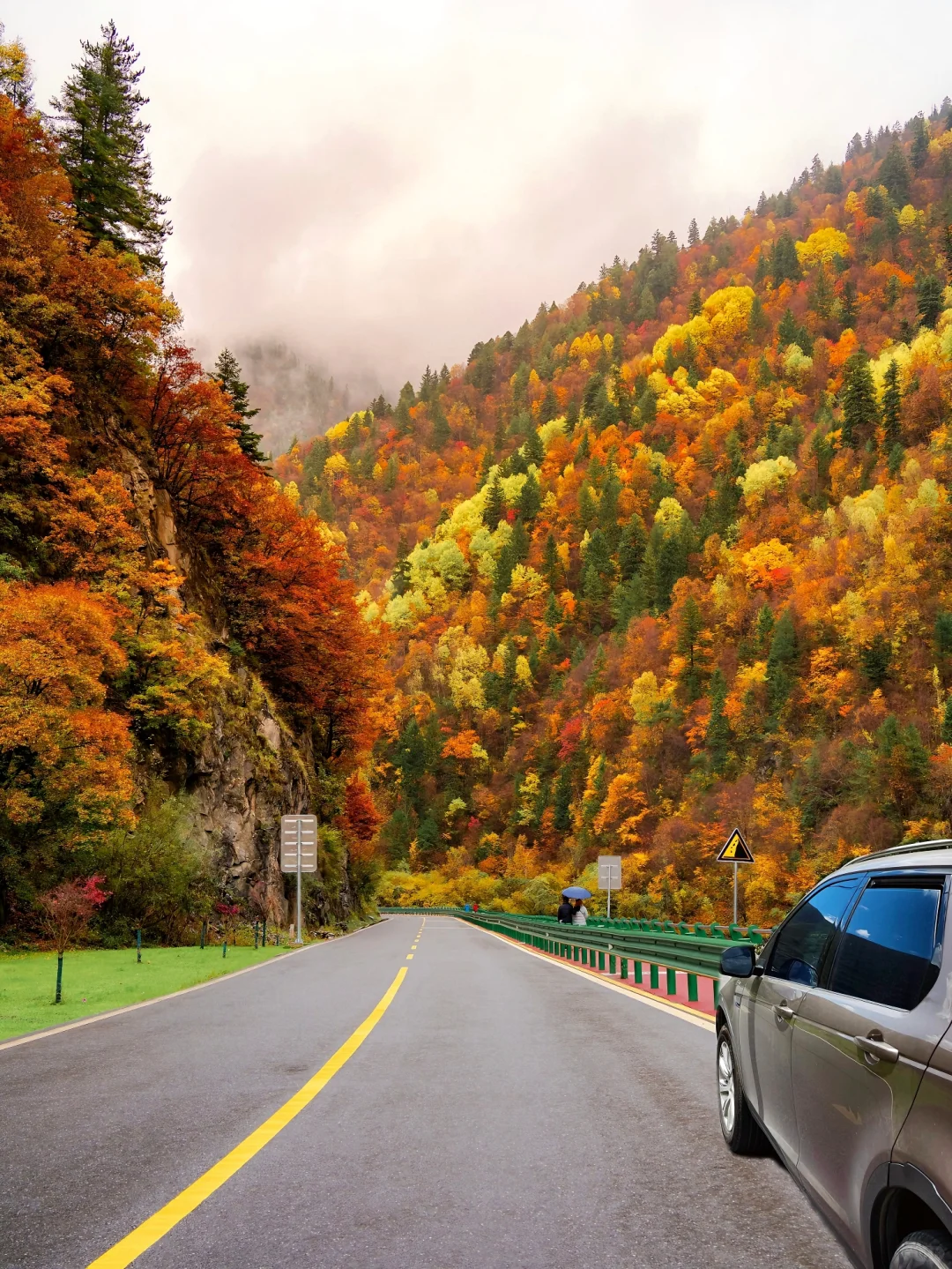 比九寨沟丰满20倍，这里的彩林是亚洲之蕞