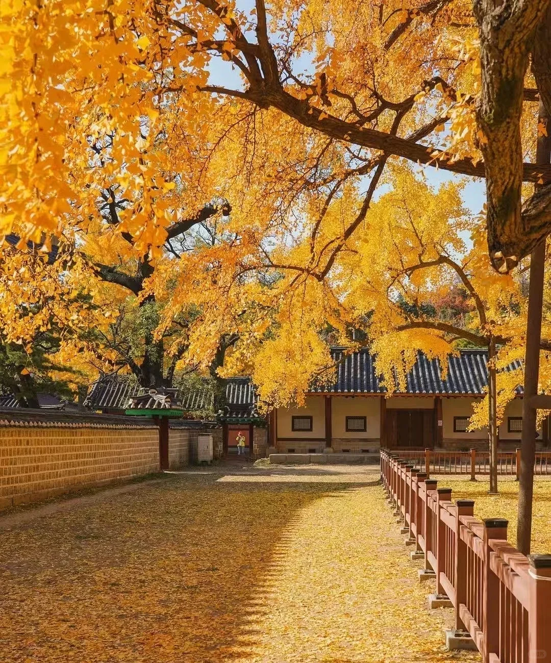 首尔自由行攻略｜解锁韩剧同款 citywalk