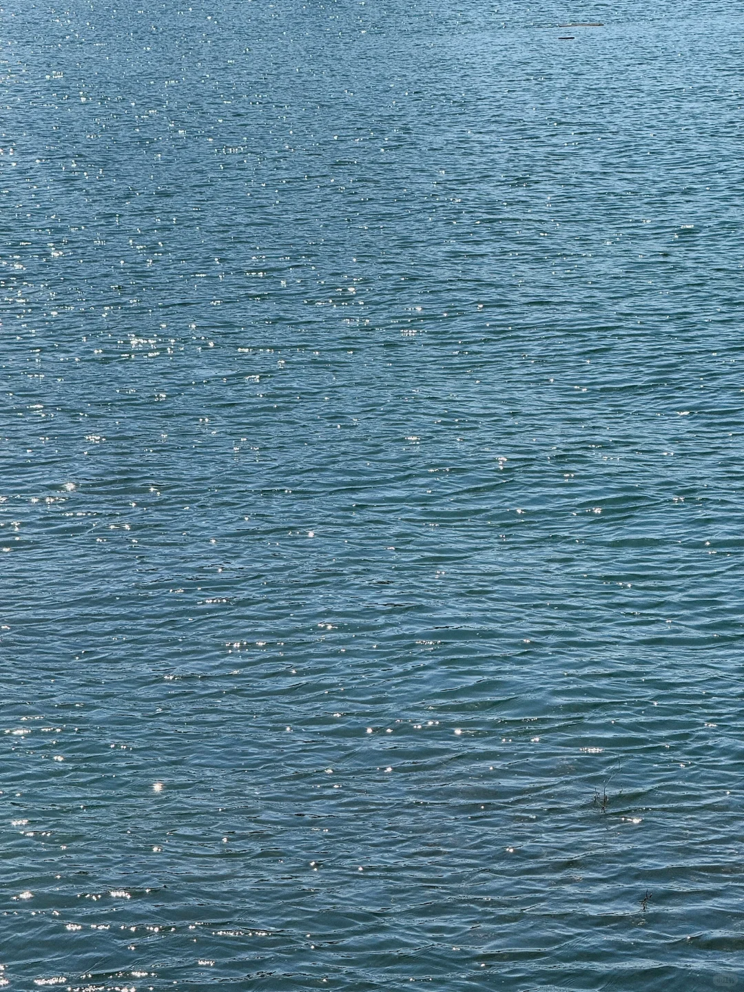 邯郸📍河北一日游，选这里准没错！！