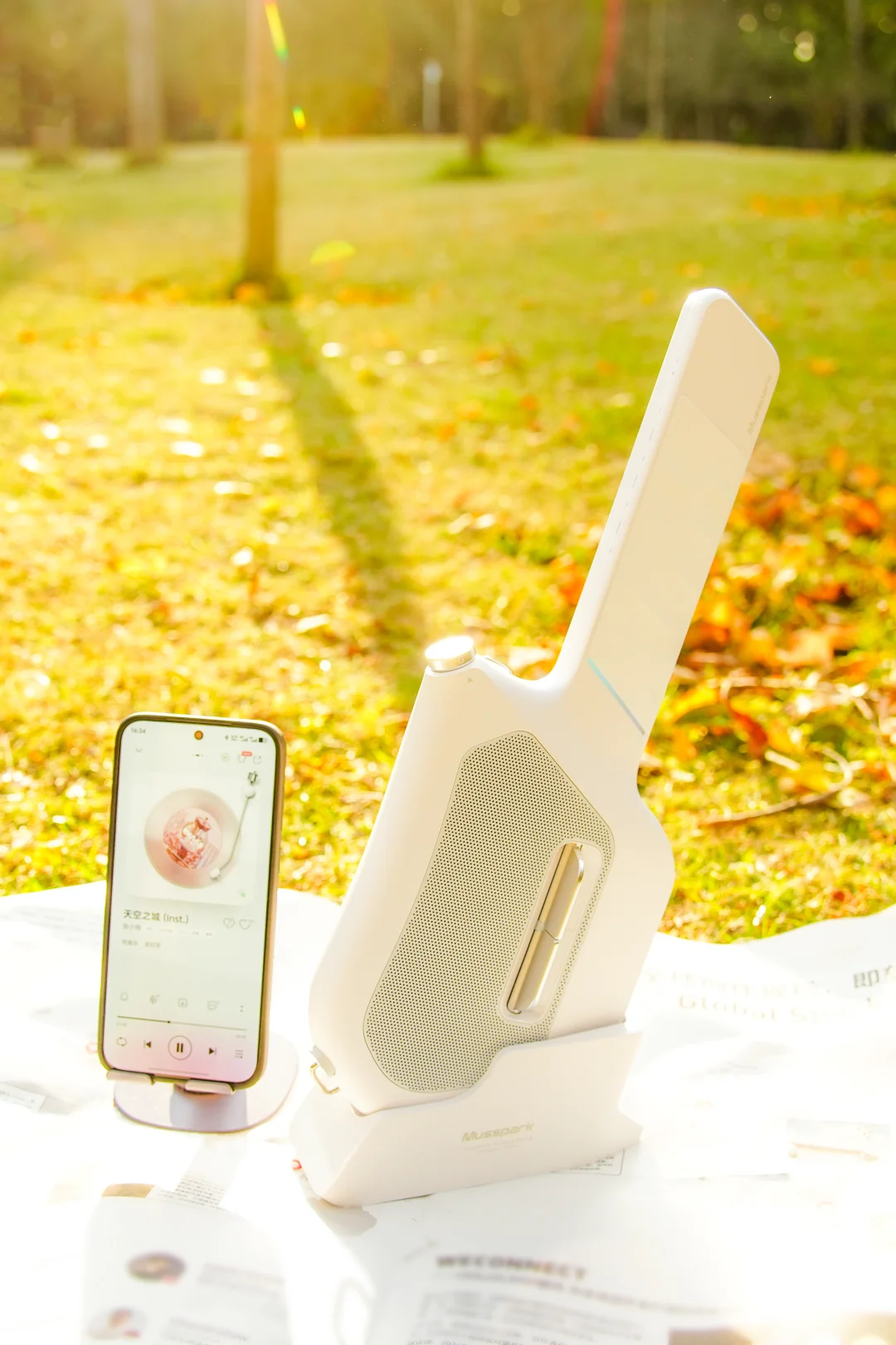 可以错过门票贵的景点，但别错过免费植物园