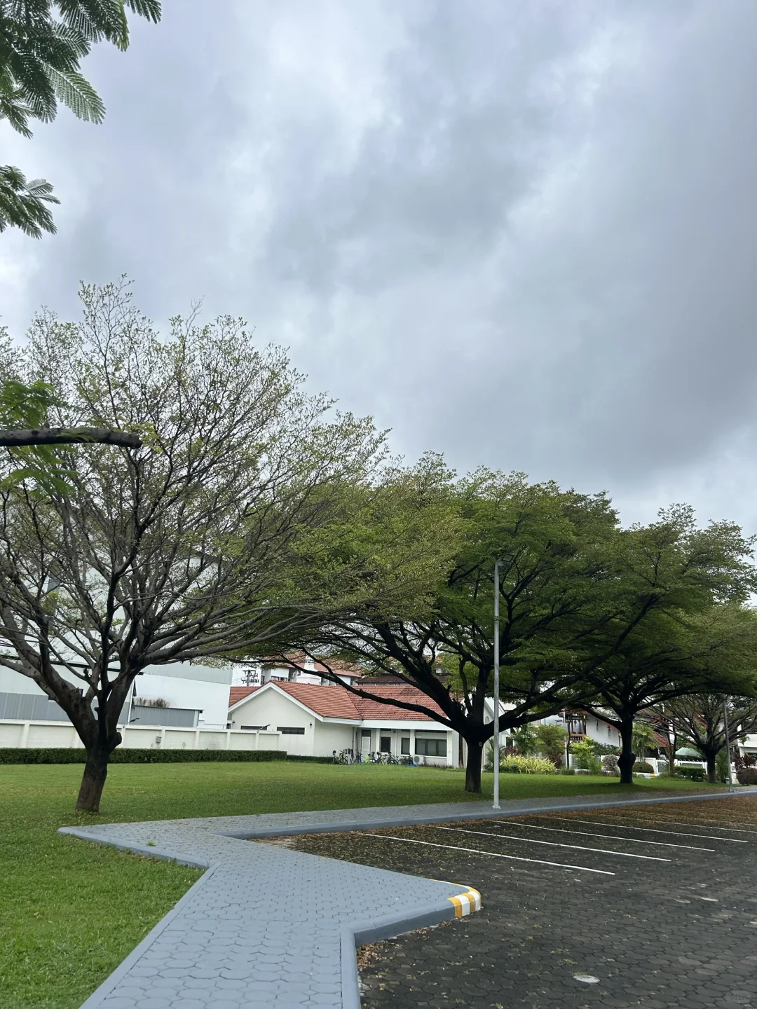 孕晚期也要出门旅游🤰