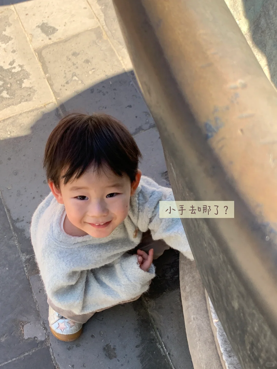 天坛的古松林，漫溢的秋意与松影