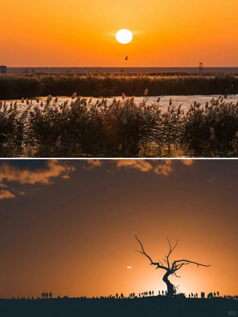 下一个爆款秋日旅行地！不是新疆！超出片！