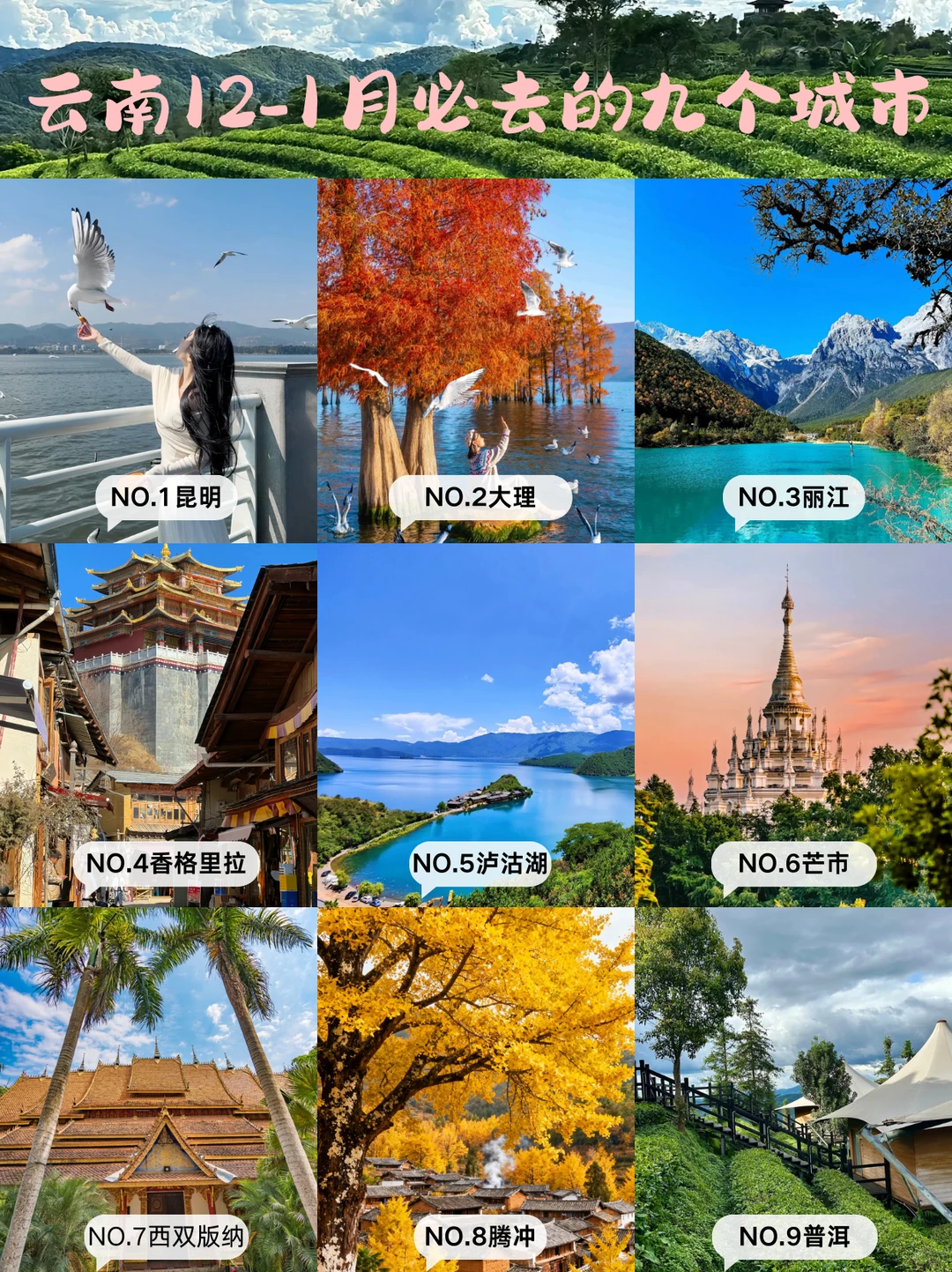 云南12-1月旅游攻略｜9大必去城市，收藏好