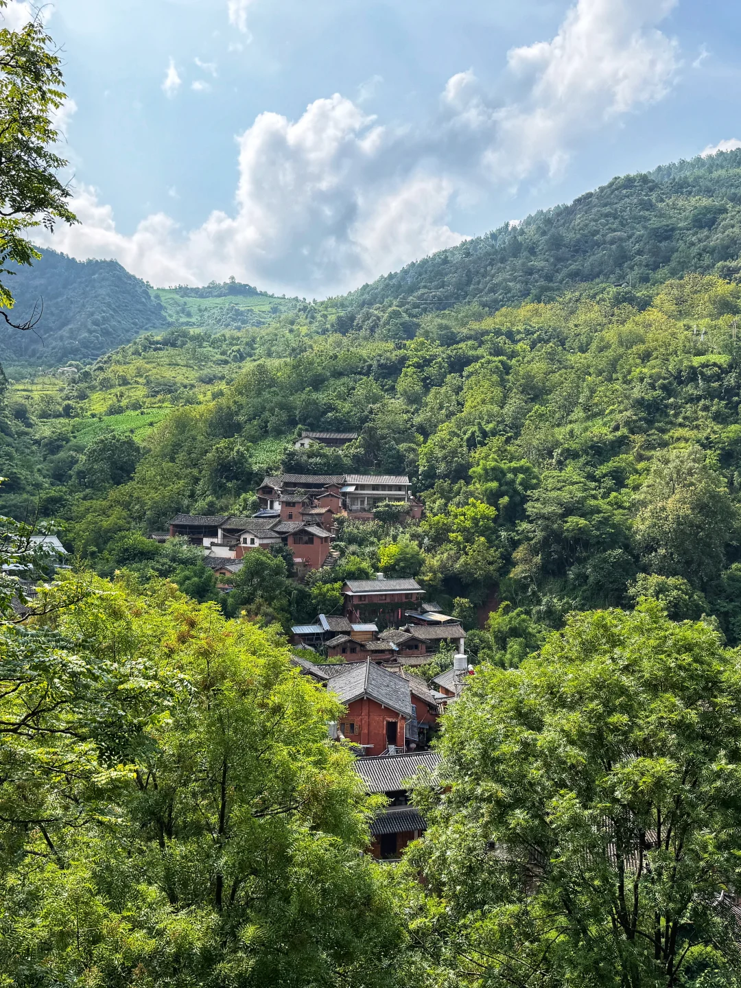 可能要去到大理才算爱的认真❤️