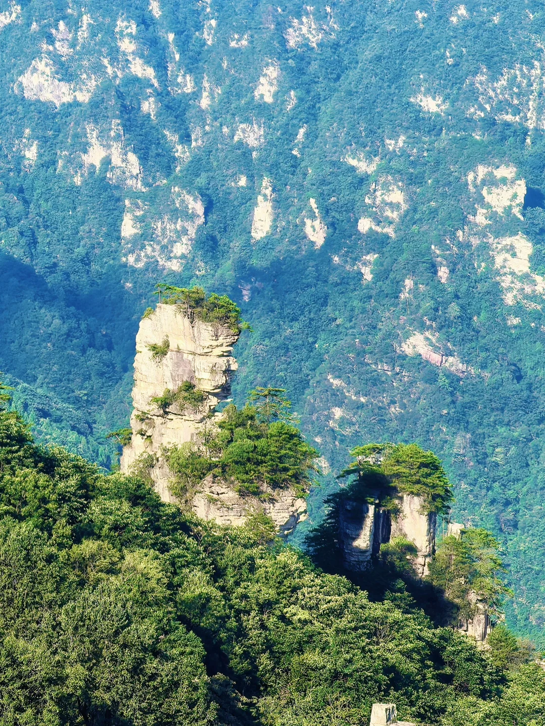 📍𝒛𝒉𝒂𝒏𝒈 𝒋𝒊𝒂 𝒋𝒊𝒆 ᨏ҉ᨏ ོ