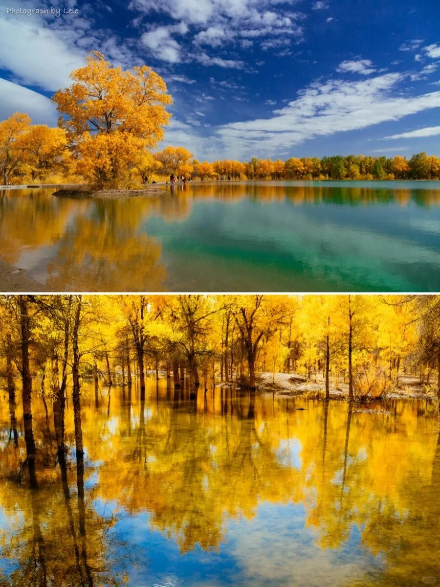 下一个爆款秋日旅行地！不是新疆！超出片！