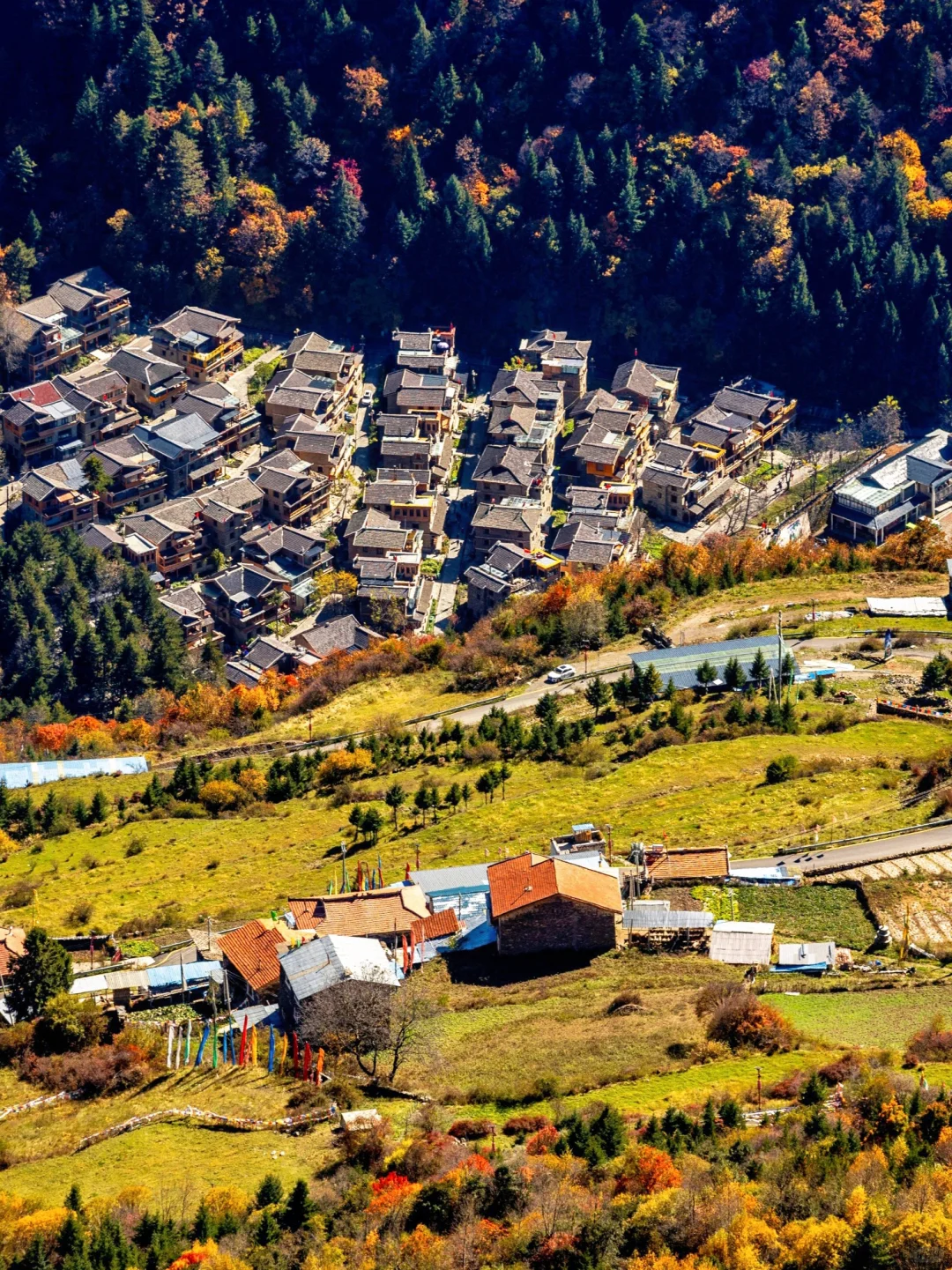 比九寨沟丰满20倍，这里的彩林是亚洲之蕞