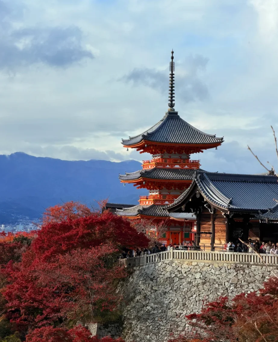 京都包车一日游｜轻松暴走5大景点不赶趟