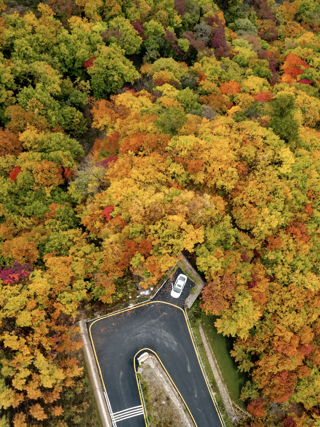 比九寨沟丰满20倍，这里的彩林是亚洲之蕞
