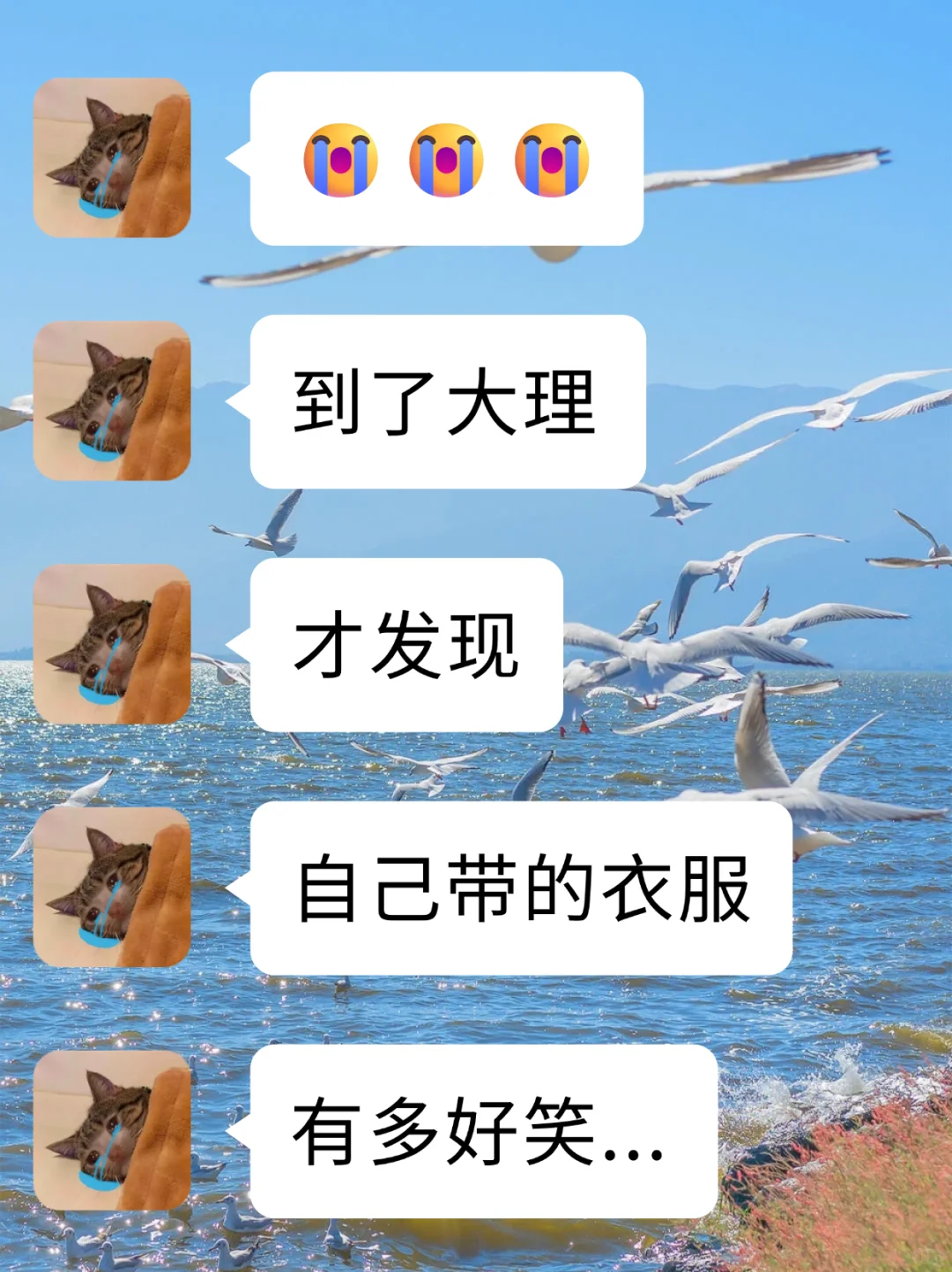 来大理玩要带对衣服啊😭😭(附游玩攻略)