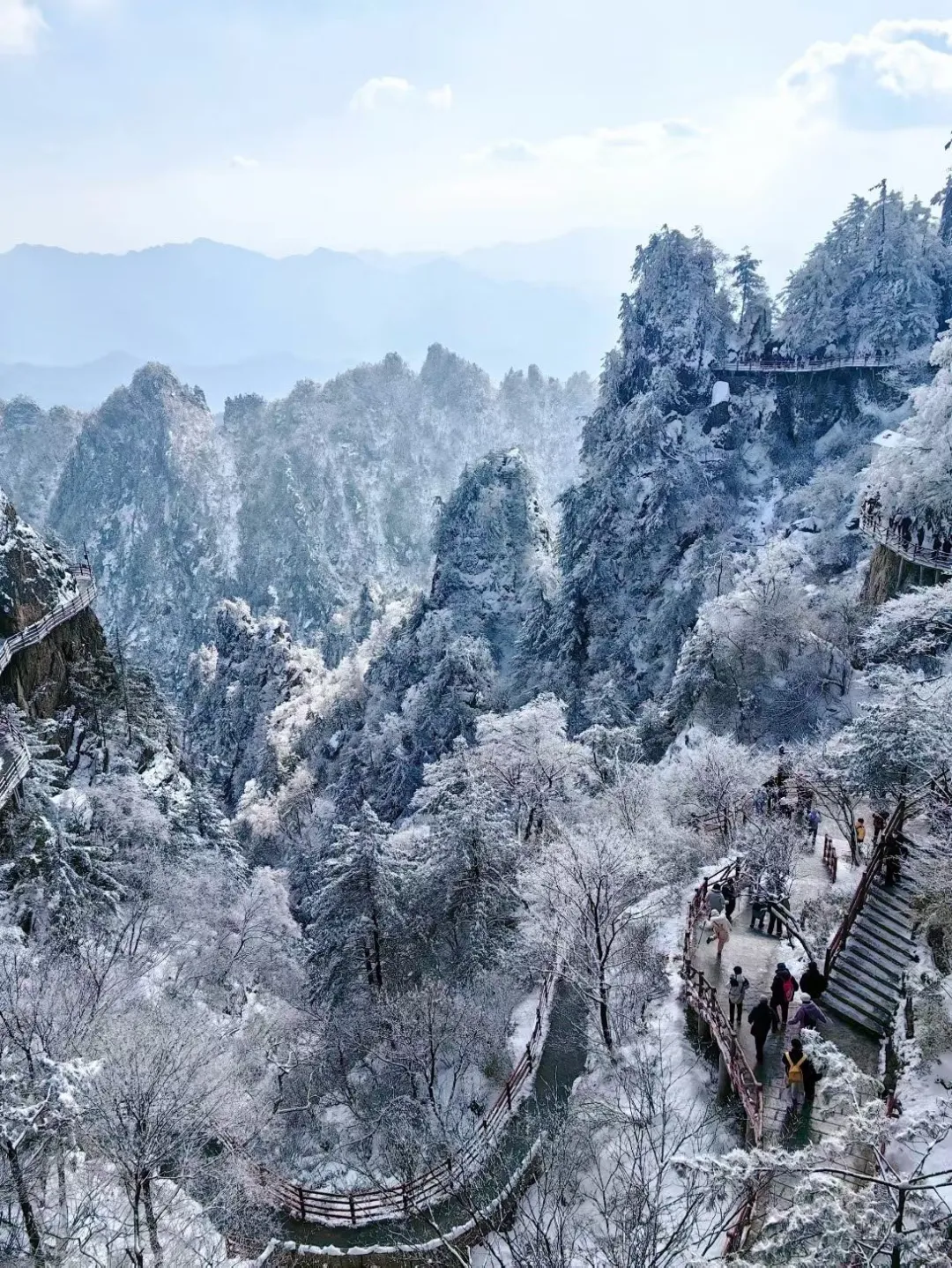 【洛阳旅游攻略 | 学生党自由行】