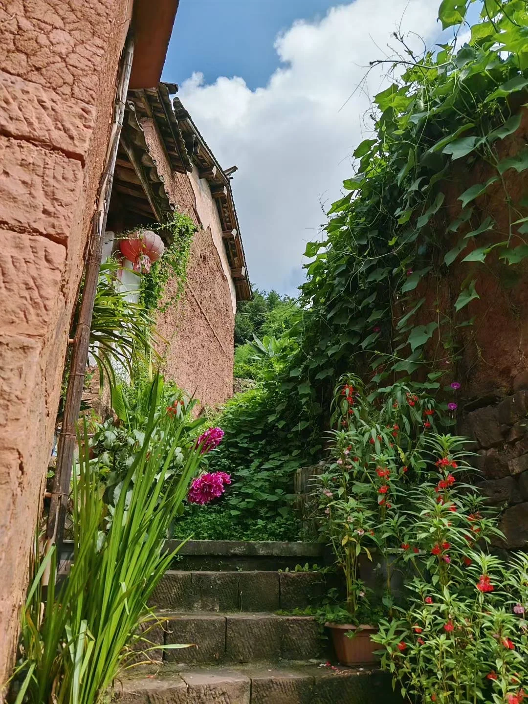 可能要去到大理才算爱的认真❤️