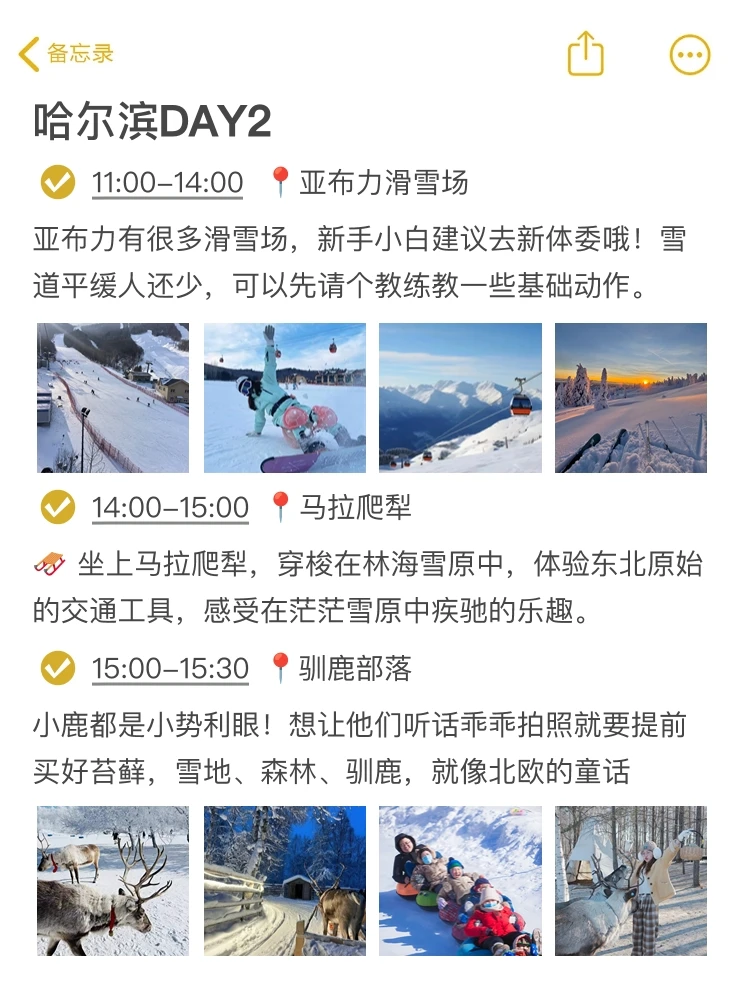 被自己做的哈尔滨旅游攻略满意到睡不着。。