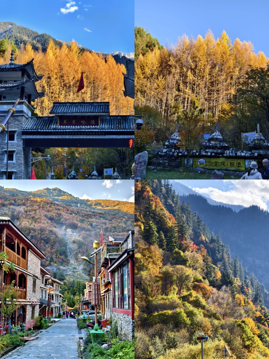 比九寨沟丰满20倍，这里的彩林是亚洲之蕞