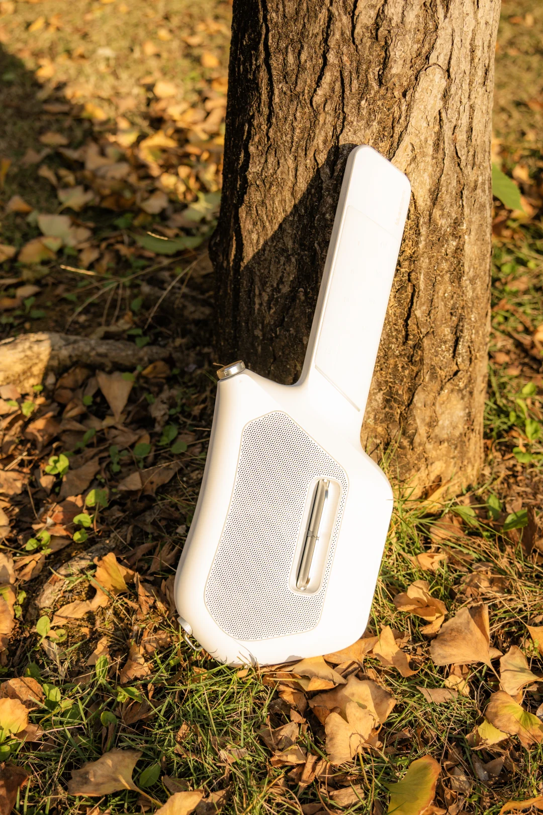 可以错过门票贵的景点，但别错过免费植物园