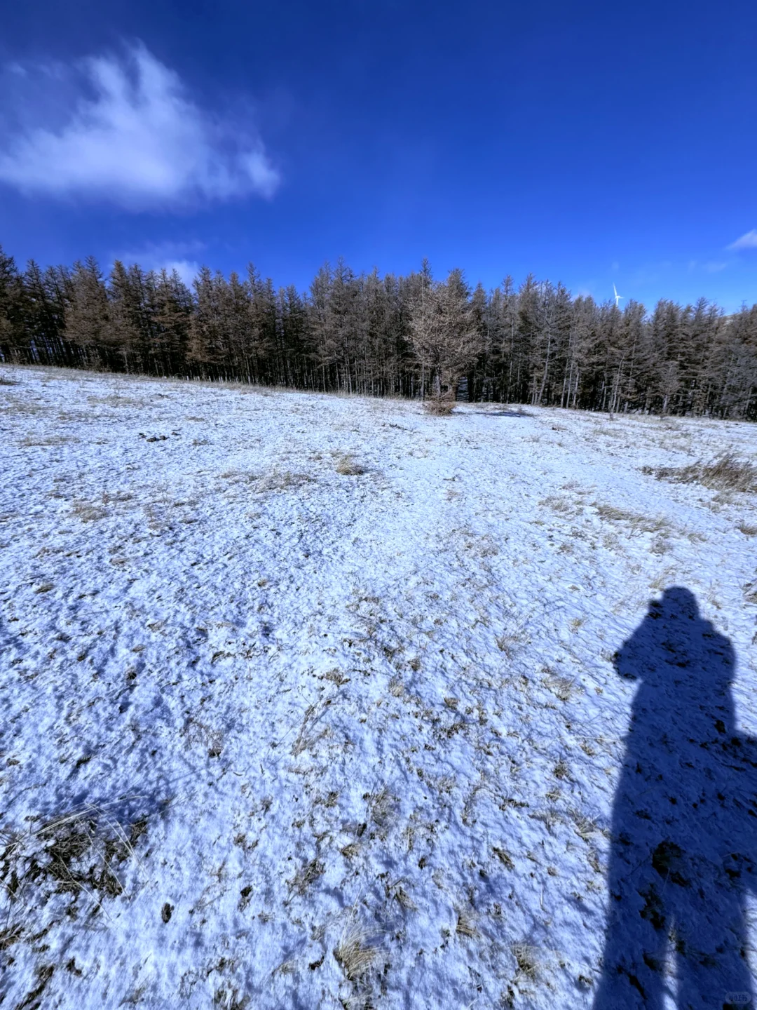 #内蒙古呼和浩特📍看雪玩雪实图攻略