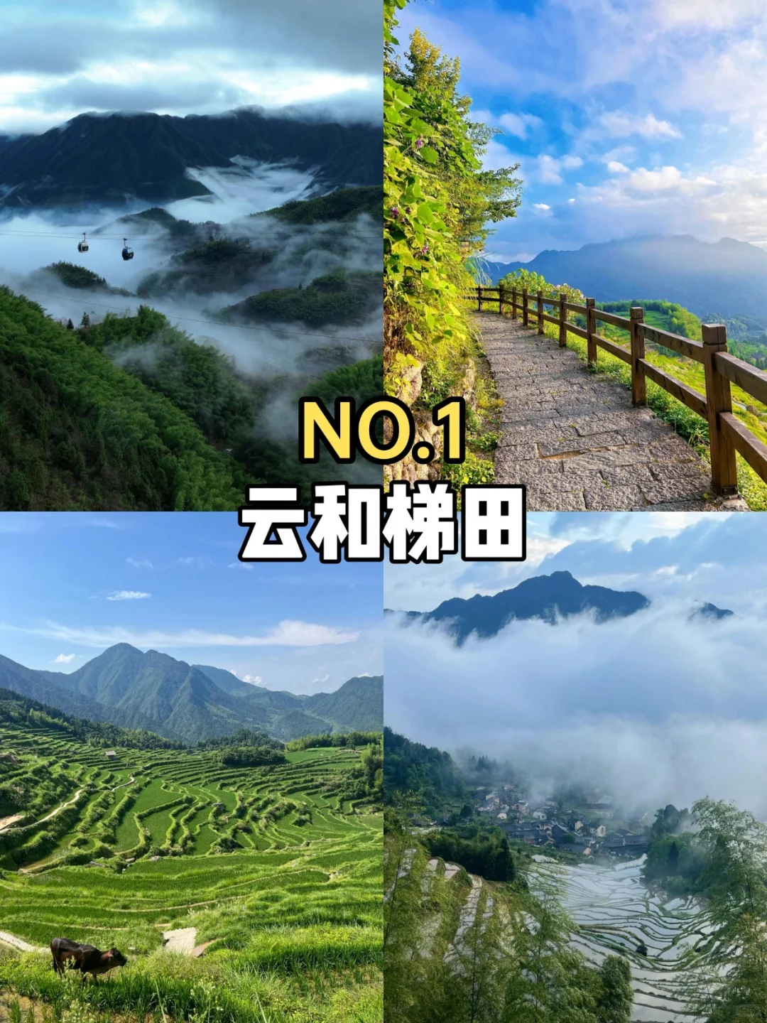 国内必打卡浙江丽水｜四大核心景点深度攻略