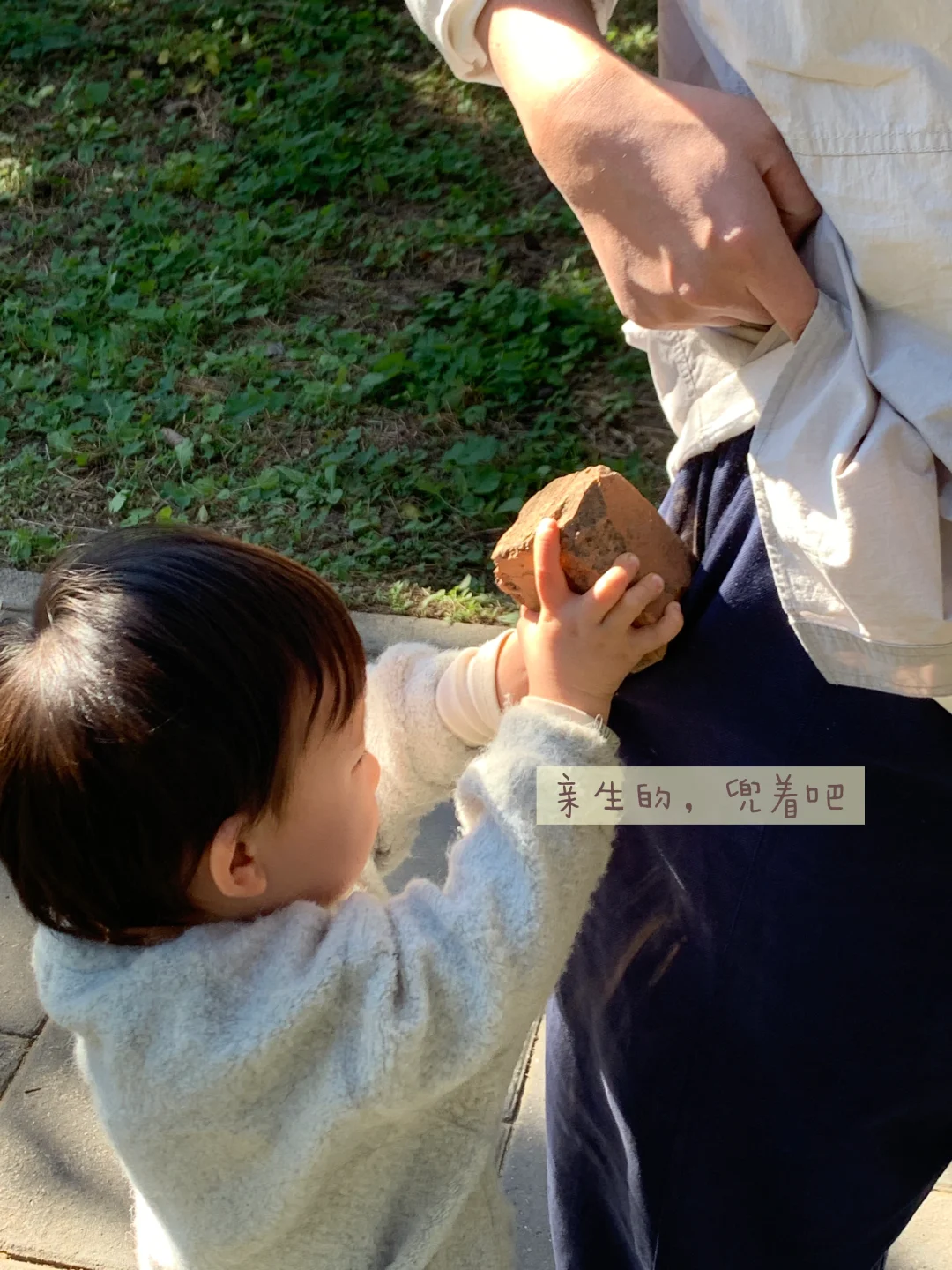 天坛的古松林，漫溢的秋意与松影