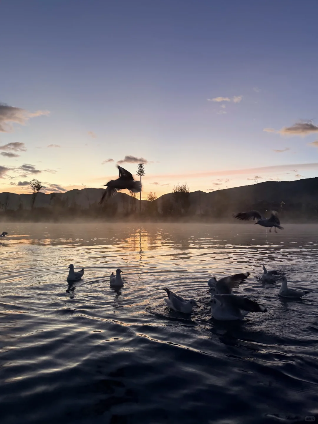 11.10📍泸沽湖已回，美疯了🤩要来的不劝退……