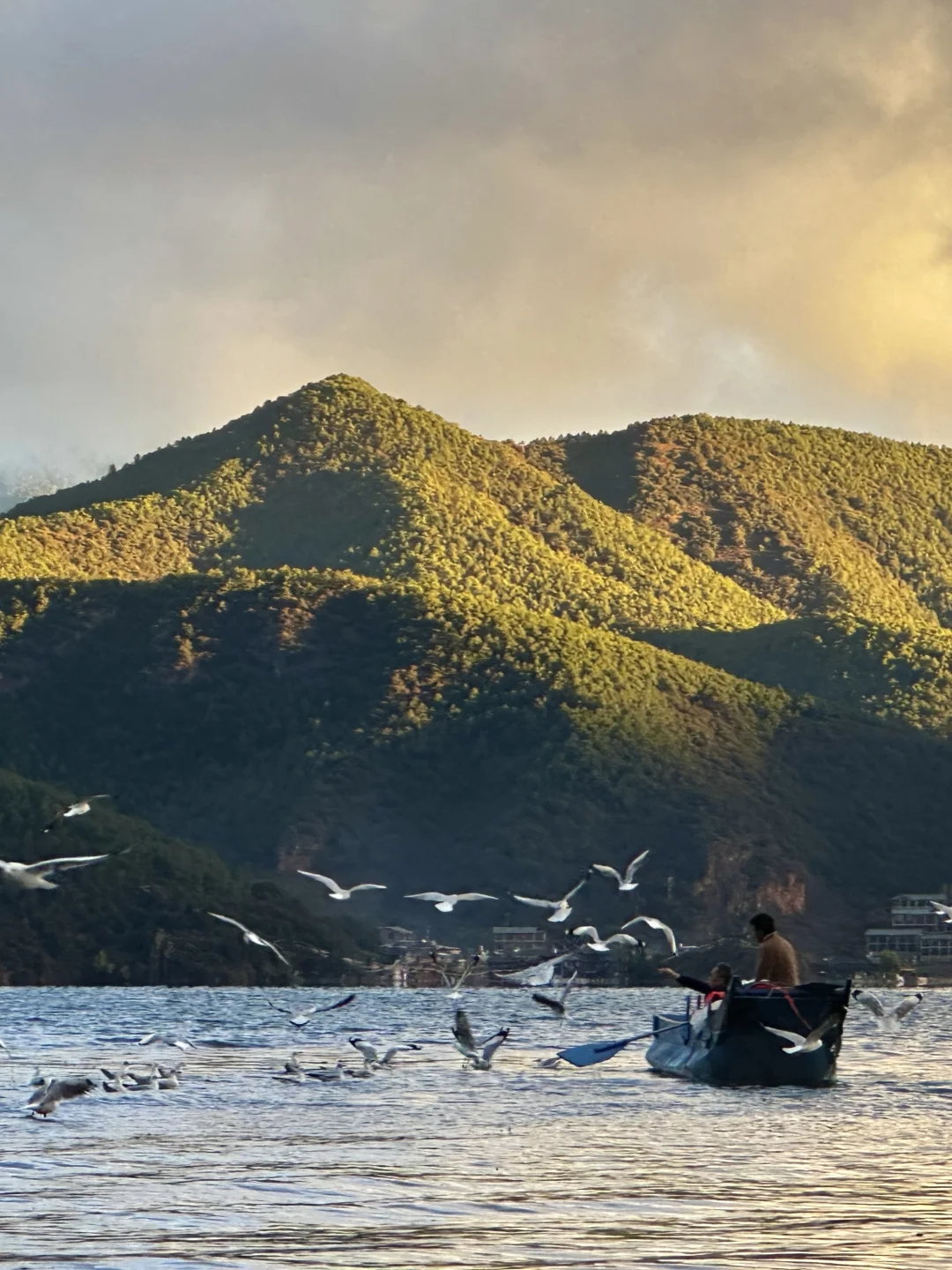 11.10📍泸沽湖已回，美疯了🤩要来的不劝退……