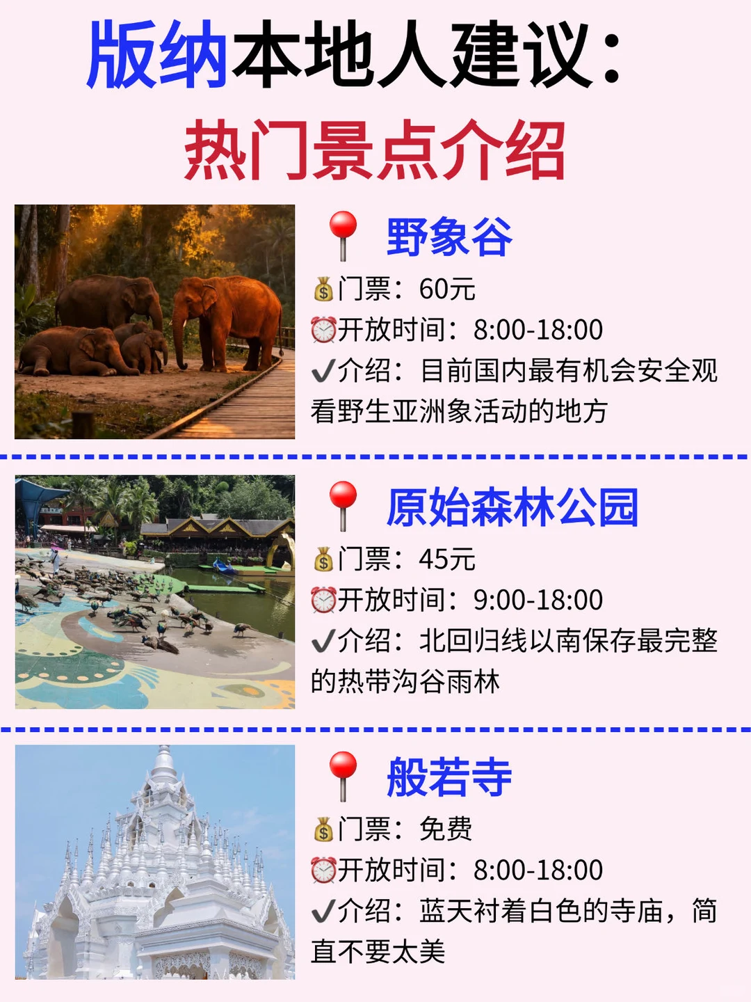 西双版纳旅游攻略（景点）打分版